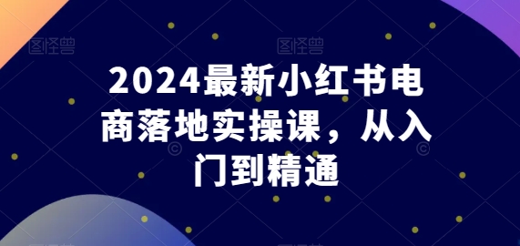 2024最新小红书电商落地实操课，从入门到精通-一米创业记