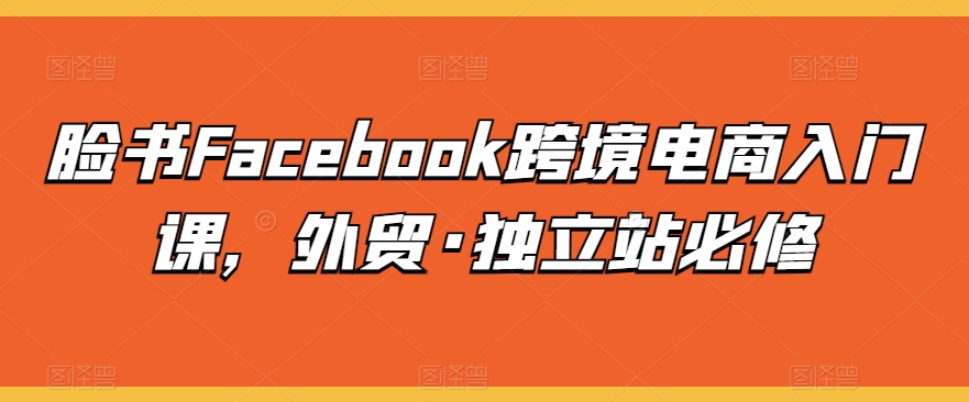 脸书Facebook跨境电商入门课，外贸·独立站必修-一米创业记
