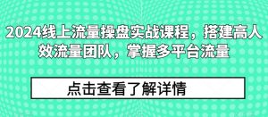 2024线上流量操盘实战课程，搭建高人效流量团队，掌握多平台流量-一米创业记