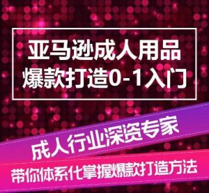 亚马逊成人用品爆款打造0-1入门，系统化讲解亚马逊成人用品爆款打造的流程-一米创业记
