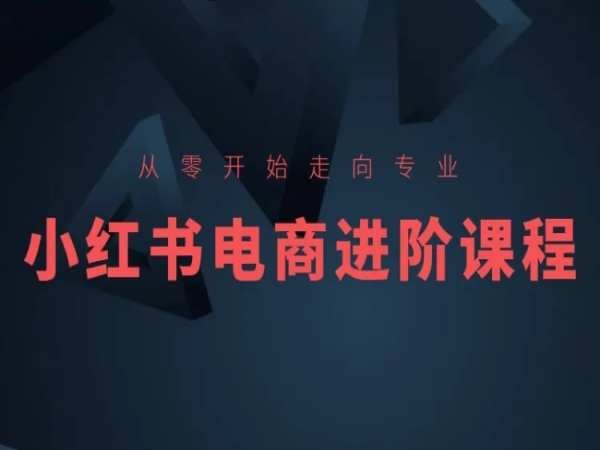 从零开始走向专业，小红书电商进阶课程-一米创业记