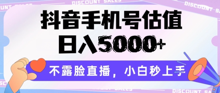 抖音手机号估值，日入5000+，不露脸直播，小白秒上手【揭秘】-一米创业记