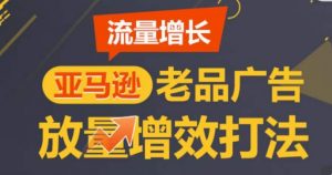 亚马逊流量增长-老品广告放量增效打法，循序渐进，打造更多TOP listing​-一米创业记