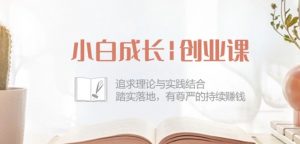 小白成长创业课：追求理论与实践结合，踏实落地，有尊严的持续赚钱-42节-一米创业记