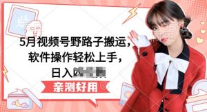 5月视频号野路子搬运，软件操作轻松上手，日入三位数【揭秘】-一米创业记