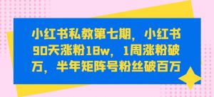 小红书私教第七期，小红书90天涨粉18w，1周涨粉破万，半年矩阵号粉丝破百万-一米创业记