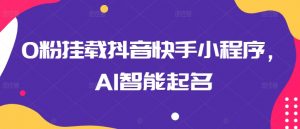 0粉挂载抖音快手小程序，AI智能起名-一米创业记