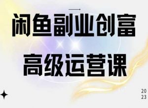 闲鱼电商运营高级课程，一部手机学会闲鱼开店赚钱-一米创业记