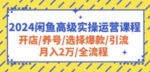 2024闲鱼高级实操运营课程：开店/养号/选择爆款/引流/月入2万/全流程-一米创业记