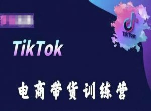 TikTok电商带货训练营，跟随时代潮流，跨境掘金-一米创业记