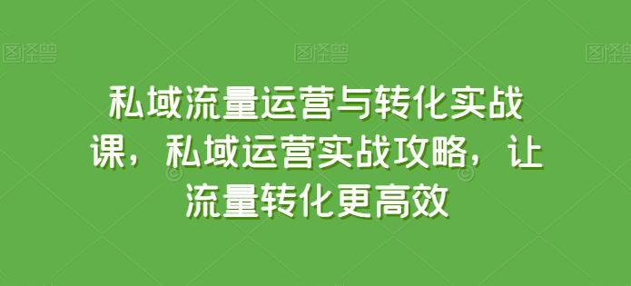 私域流量运营与转化实战课，私域运营实战攻略，让流量转化更高效-一米创业记