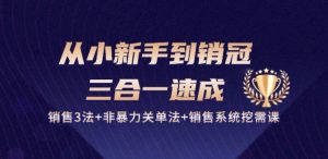 从小新手到销冠 三合一速成：销售3法+非暴力关单法+销售系统挖需课 (27节)-一米创业记