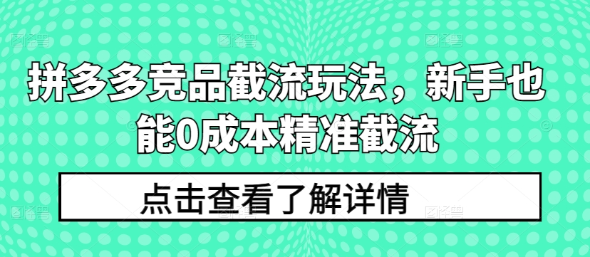 拼多多竞品截流玩法，新手也能0成本精准截流-一米创业记