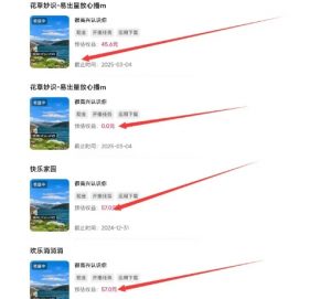 磁力聚星游戏副业陪跑训练营1.0，长期稳定项目，有人一周干了1K+-一米创业记