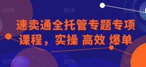 速卖通全托管专题专项课程，实操 高效 爆单-一米创业记