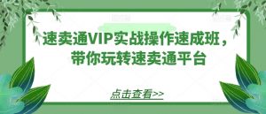 速卖通VIP实战操作速成班，带你玩转速卖通平台-一米创业记