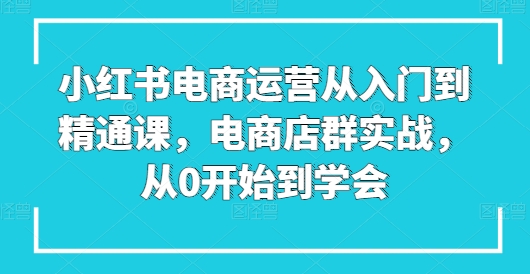 小红书电商运营从入门到精通课，电商店群实战，从0开始到学会-一米创业记