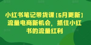 小红书笔记带货课【6月更新】流量电商新机会，抓住小红书的流量红利-一米创业记