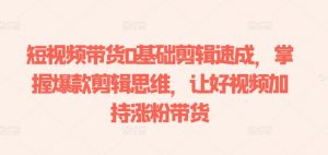 短视频带货0基础剪辑速成，掌握爆款剪辑思维，让好视频加持涨粉带货-一米创业记