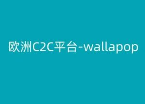 欧洲C2C平台-wallapop-kim跨境电商教程-一米创业记