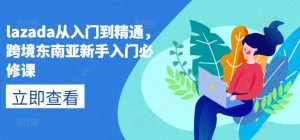 lazada从入门到精通，跨境东南亚新手入门必修课-一米创业记
