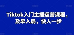 Tiktok入门主播运营课程，及早入局，快人一步-一米创业记