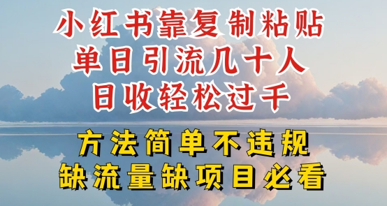小红书靠复制粘贴单日引流几十人目收轻松过千，方法简单不违规【揭秘】-一米创业记