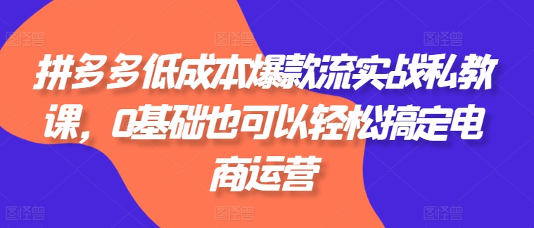 拼多多低成本爆款流实战私教课,0基础也可以轻松搞定电商运营-一米创业记