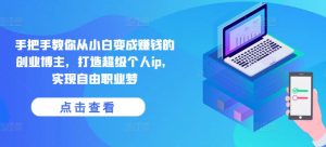 手把手教你从小白变成赚钱的创业博主，打造超级个人ip，实现自由职业梦-一米创业记