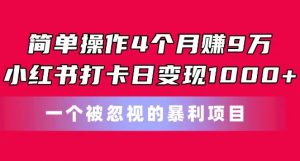 简单操作4个月赚9w，小红书打卡日变现1k，一个被忽视的暴力项目【揭秘】-一米创业记