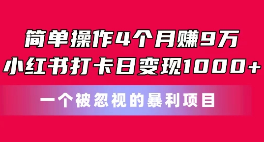 简单操作4个月赚9w，小红书打卡日变现1k，一个被忽视的暴力项目【揭秘】-一米创业记