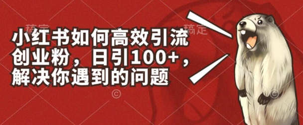小红书如何高效引流创业粉，日引100+，解决你遇到的问题【揭秘】-一米创业记
