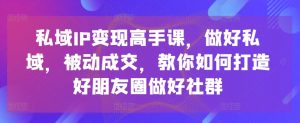 私域IP变现高手课，做好私域，被动成交，教你如何打造好朋友圈做好社群-一米创业记