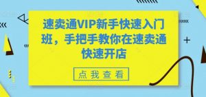 速卖通VIP新手快速入门班，手把手教你在速卖通快速开店-一米创业记