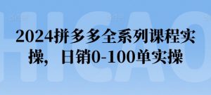 2024拼多多全系列课程实操，日销0-100单实操【必看】-一米创业记