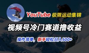 视频号冷门赛道撸收益，YouTube搬运极限运动集锦，暴力起号，操作简单流量高，轻松日入5张【揭秘】-一米创业记