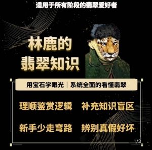 林鹿的翡翠知识，​用宝石眼光，系统全面的看懂翡翠-一米创业记