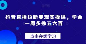 抖音直播拉新变现实操课，学会一周多挣五六百-一米创业记