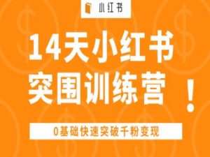 14天小红书突围训练营 ,0基础快速突破千粉变现-一米创业记