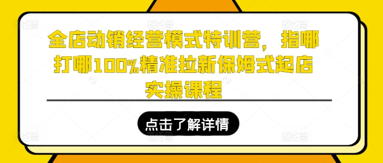全店动销经营模式特训营，指哪打哪100%精准拉新保姆式起店实操课程-一米创业记