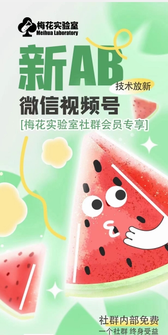 梅花实验室2024年AB技术视频号AB合成破解版-一米创业记
