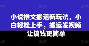 小说推文搬运新玩法，小白轻松上手，搬运发视频让搞钱更简单-一米创业记
