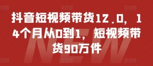抖音短视频带货12.0，14个月从0到1，短视频带货90万件-一米创业记