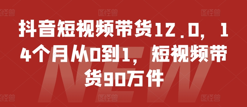 抖音短视频带货12.0，14个月从0到1，短视频带货90万件-一米创业记