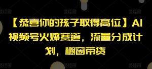 【恭喜你的孩子取得高位】AI视频号火爆赛道，流量分成计划，橱窗带货【揭秘】-一米创业记