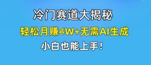 冷门赛道大揭秘，轻松月赚1W+无需AI生成，小白也能上手【揭秘】-一米创业记