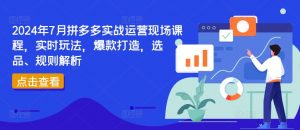 2024年7月拼多多实战运营现场课程，实时玩法，爆款打造，选品、规则解析-一米创业记