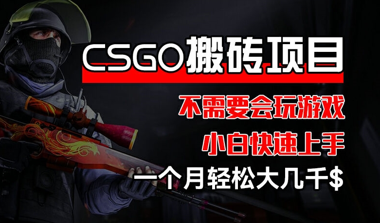 CSGO 装备搬砖项目，操作简单，不需要会玩游戏，小白也能快速上手，一个月轻松大几千【揭秘】-一米创业记
