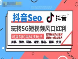 抖音SEO引流培训课程-抓住抖音风口，实现搜索排名，获取精准流量，快速成交变现-一米创业记