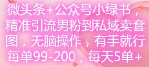 微头条+公众号小绿书，精准引流男粉到私域卖套图，无脑操作，有手就行，每单99-200，每天5单-一米创业记
